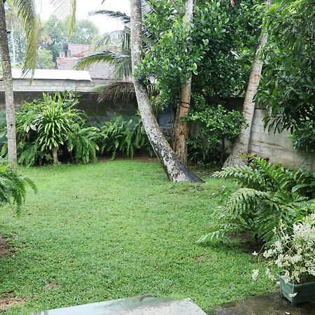 Sheru Guest ماتارا المظهر الخارجي الصورة
