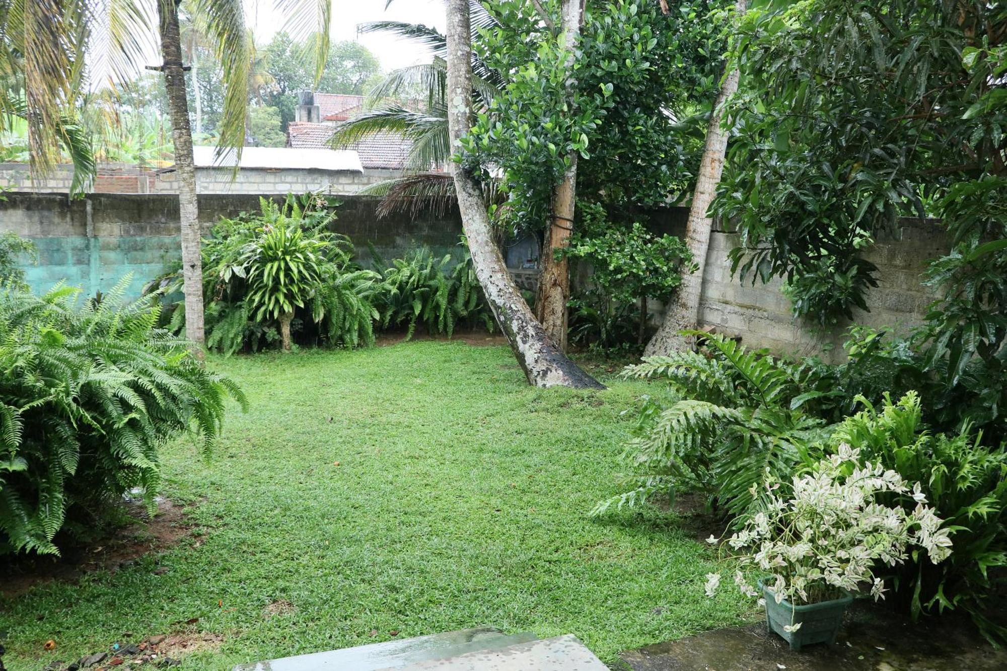Sheru Guest ماتارا المظهر الخارجي الصورة