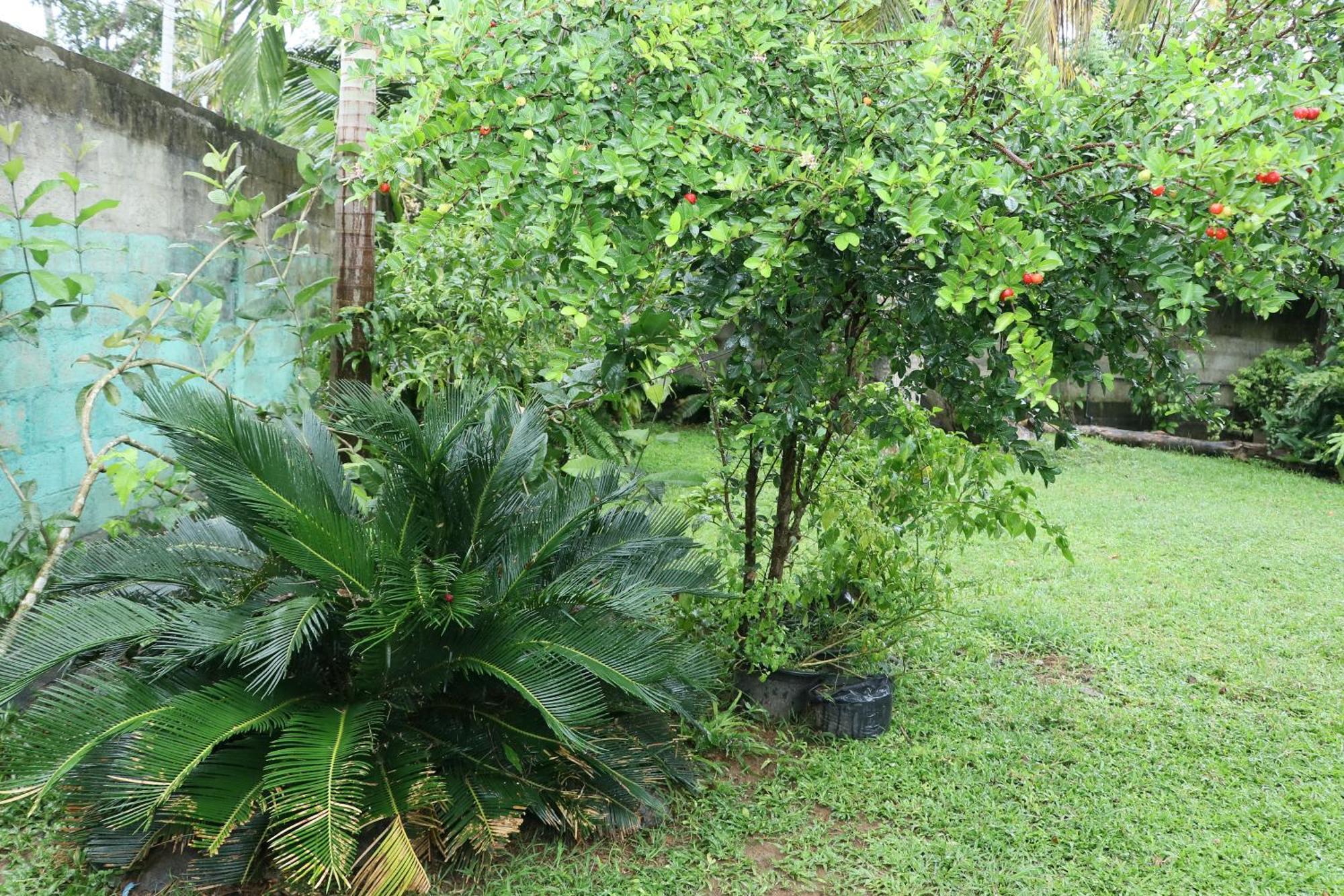 Sheru Guest ماتارا المظهر الخارجي الصورة
